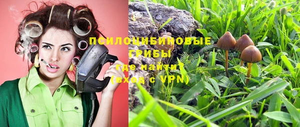 прущие крисы Абинск